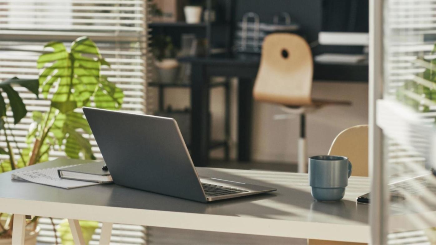 Teilnehmer bei der praktischen Arbeit an SEO-Projekten