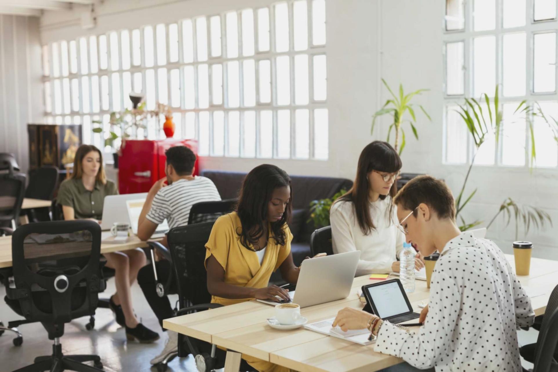 Interaktive Lernsitzung mit Teilnehmern